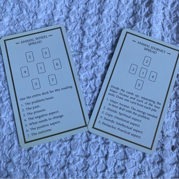 Animals Divine by Lisa Hunt Tarot card box set First Printing / First Edition - Picture 9 of 16